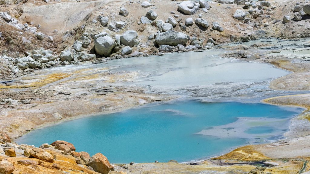 Scientists Found an Amoeba That Thrives at 145°F