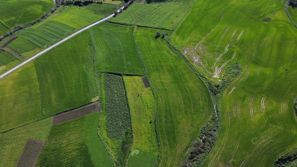 A New Satellite Can Watch Plants Glow From Space